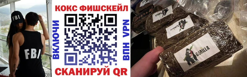 Cocaine Fish Scale  купить наркотики цена  Невьянск 