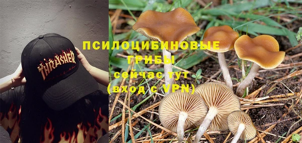 крисы Алексин