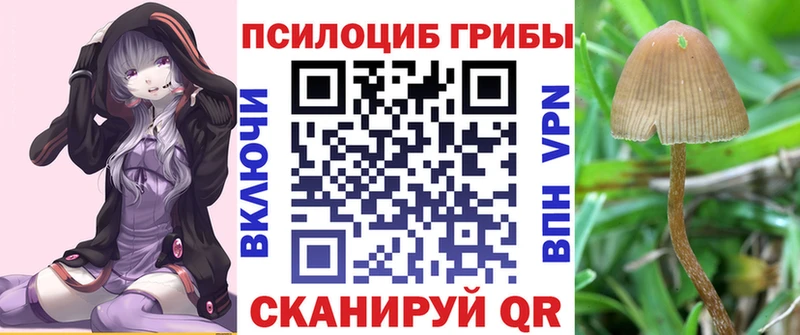 купить  сайты  Невьянск  Псилоцибиновые грибы Psilocybine cubensis 